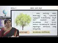 Samveda - 5th - Kannada - Naanu mattu Hunehi (Part 1 of 2) - Day 47