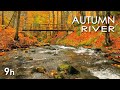 Autumn River Sounds - Relaxing Nature Video - Sleep/ Relax/ Study - 9 Hours - HD 1080p