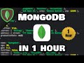 Learn MongoDB in 1 hour 🍃
