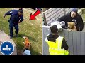 Delivery Drivers vs. Pets 🐶📦 | Funniest Moments Caught on Camera 2025!
