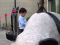 M4V00245.MP4