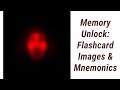 Unlocking Memory: Images and Mnemonics in Flashcards