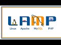 How to Install Apache, MySQL, PHP (LAMP Stack) on Ubuntu 24.04