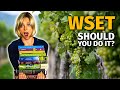 WSET Wine Education | + My Experience