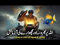Allah par Bharosa aur Mashwara ki Azmaish || अल्लाह पर भरोसा और मछुआरे की आज़माइश || Moral Stories