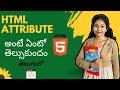 Attributes in Html Telugu