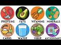 Every Essential Nutrient Your Body Needs Explained 