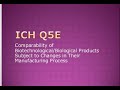 ICH Q5E: Comparability of Biotechnological/Biological Products Changes in Manufacturing Process