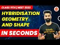 Hybridization Geometry and Shape Trick | How to calculate Hybridization? Easy Tips \u0026 Trick | NEET
