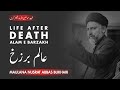 Allam E Barzakh | Maulana Syed Nusrat Abbas Bukhari
