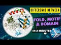 What Is Difference Between Fold, Motif \u0026 Domain Of Protein | In 3DAnimation | CSIR-NET Life Science