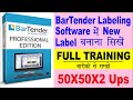 How To Create 50x50 mm 2 Ups With Or Without Gap Label In BarTender | Apna Pehla Label Banana Sikhe