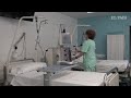 Trasplantes renales sin transfusiones de sangre para testigos de Jehová