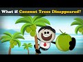 What if Coconut Trees Disappeared? + more videos | #aumsum #kids #science #education #children