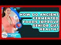 How Do Ancient Fermented Foods Improve Senior Gut Health? - Daily Steps to Health For Seniors