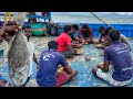 Delicious! This Is How We Eat Breakfast, Lunch And Dinner At Sea | Part-01 | Indian Ocean Fisheman