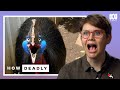 5 Reasons Cassowaries Are The WORLD'S Most FEARSOME Birds