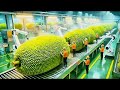 Inside the 50,000 LB Jackfruit Plant – The HYPNOTIC Shredding of Modern Vegan Pork Production