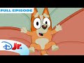 Bluey Full Episode | Butterflies | Full Episode | @disneyjr