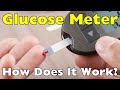 How Does a Glucose Meter Work?