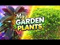 My Garden Plants 