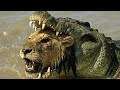 Craziest Crocodile Attacks Ever Caught On Camera #NatureDocumentary | Wild Animals #12