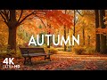 Beautiful Autumn Music 🍂 Calming The Soul With Gentle Tunes, Autumn Nature Scenes With Forest Sounds