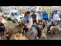 ಕೂಡ್ಲಿಗಿ ಕುರಿ ಮಾರ್ಕೆಟ್ ಪ್ರತಿ ಬುಧವಾರ Kudligi Sheep Market Every Wednesday