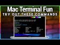 Fun With Mac Terminal Commands - Hands-On Mac 5