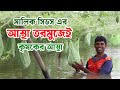 মালিক সিডস এর আস্থা তরমুজেই কৃষকের আস্থা