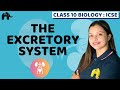 The Excretory System | Chapter 9 Class 10 ICSE Biology Selina | Kidney, Urine System