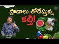 ప్రాణాలు తోడేస్తున్న కల్తీ! | Food adulteration | Balu Yakkaladevara | Attention Please!