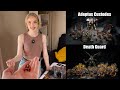 Adeptus Custodes vs Death Guard Battle Report 10th Edition 2000pts