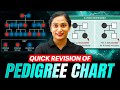 PEDIGREE CHART - Quick Revision in 39 Minutes | Class 12th BOTANY | PhysicsWallah
