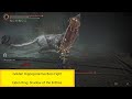 Golden Hippopotamus Boss Fight - Elden Ring: Shadow of the Erdtree (4k)