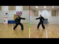 Exercise - Saju Jirugi No.1 White belt (TAGB)