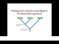 Phylogenetic analysis using Mega X: An alternative approach