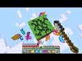 Minecraft Randomizer UHC but you only get 1 block..