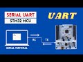 Serial UART with STM32 Microcontroller-Transmit and Receive Data