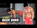 Basic FULL BODY | No Equipment Home Workout (Level 3)