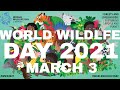 World Wildlife Day 2021 Theme  World Wildlife Day 2021 March 3  World Wildlife Day Video |