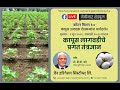 Hi-Tech Cotton Cultivation with \
