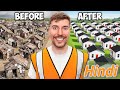I Built 100 Houses and Gave Them away! | Hindi mai | ​⁠@MrBeast