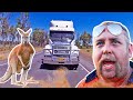 Trucker's Nightmare! Kangaroo Ruins Brand New $90,000 Rig in Seconds