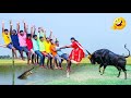 Top Very Special Trending Funny Comedy Video 2025 😂Try To Not Laugh 2025 Episode 354 by Been Fun Tv