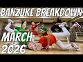 Banzuke Disaster Breakdown—March 2026