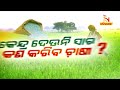 Lead Story : କେନ୍ଦ୍ର ଦେଉନି ସାର କ'ଣ କରିବ ଚାଷୀ ? NandighoshaTV