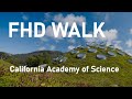 [FHD] WALK - Walk and explore California Academy of Science (Golden Gate Park, San Francisco)