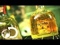 TEQUILA | How It's Made