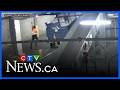 Exclusive: Dramatic video shows takedown of baggage handler at Toronto's Pearson airport